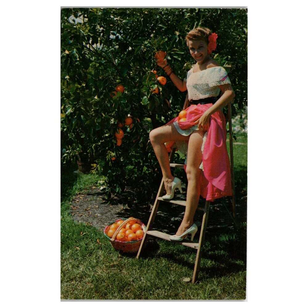 Vintage Florida Oranges Pin-Up Postcard 1960 Woman Picking Fruit Miami